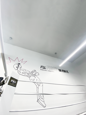 Prevail Boxing by null
