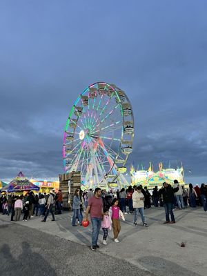 Rodeo Austin by null