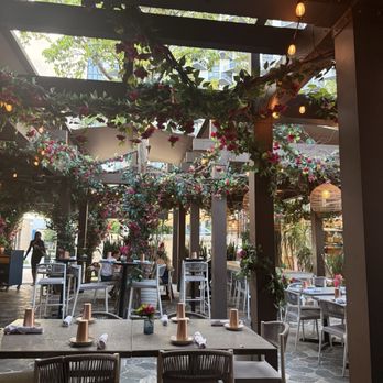 Elite Experience: Sufrat Mediterranean Grill - Outdoor seating - Yelp Events Near Me - Doral, Florida