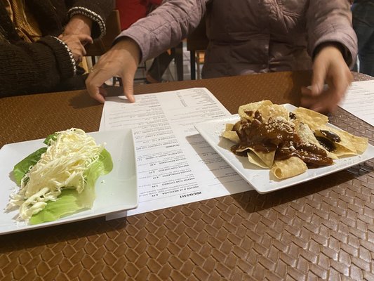 El Mestizo by null