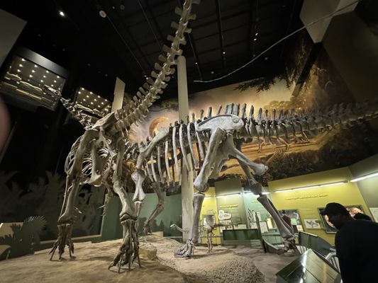 Sam Noble Oklahoma Museum of Natural History by null