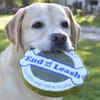 End of the Leash gift card