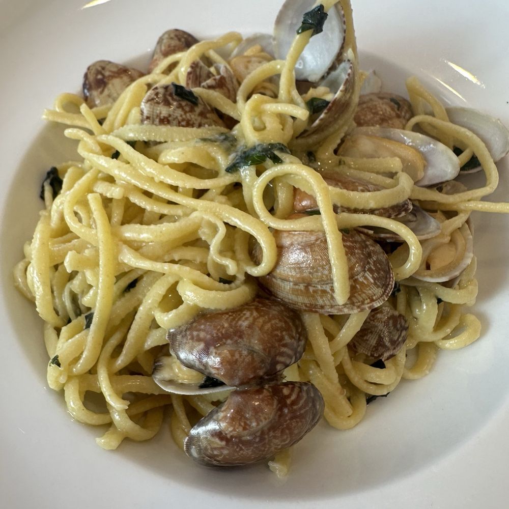 Davanti Ristorante - Linguine (4.5oz) - Italian Near Me - Houston, Texas Davanti Ristorante - Linguine (4.5oz) - Italian Near Me - Houston, Texas