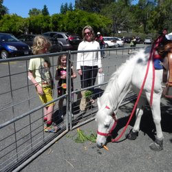 Ponies R US - Ponies R Us, Our weekly visitors are welcome to buy healthy treats from the market.We want their time together to feel special.