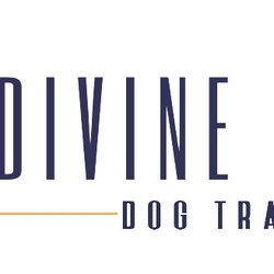 Divine Canine Dog Training