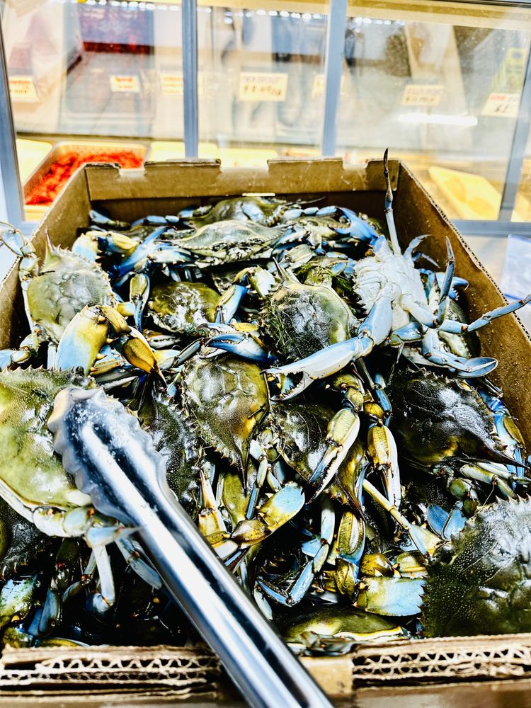 Food from LT New Orleans Seafood Market