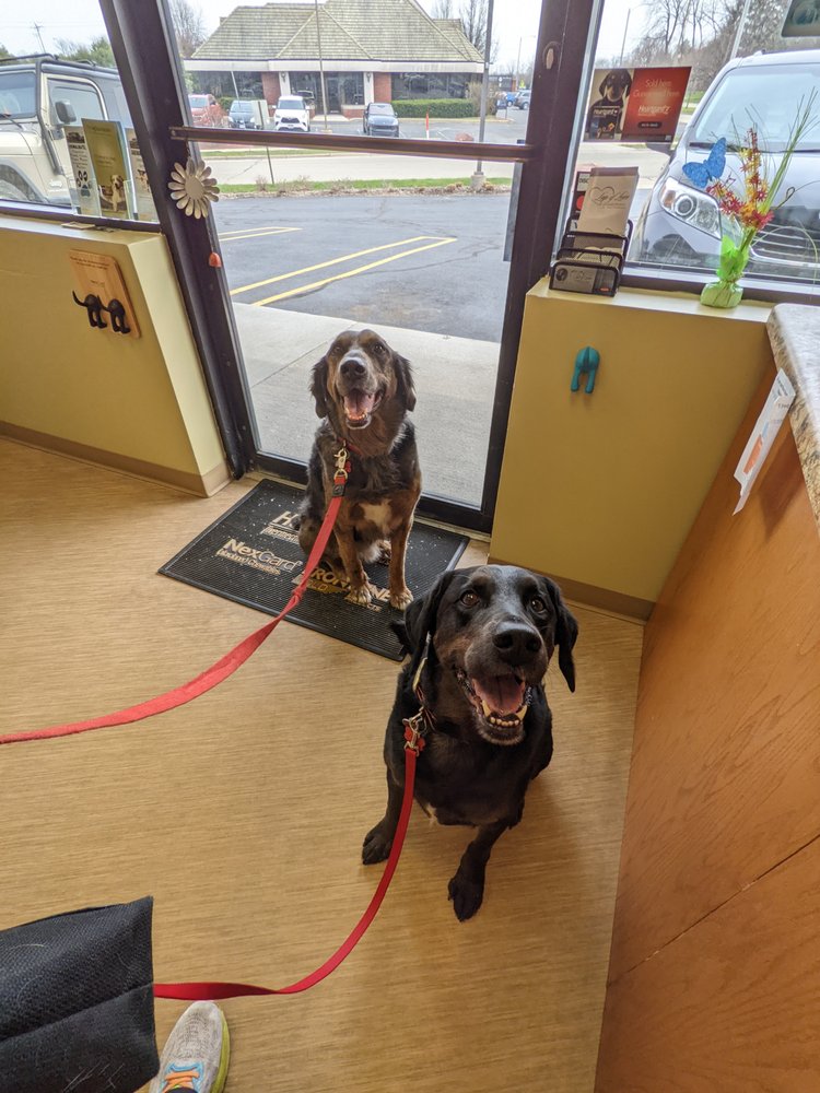HEALTHY PAWS WELLNESS & ANIMAL CLINICS Updated July 2024 10 Reviews
