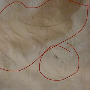 Oceanfront Lodge - Stains on bedding. - Hotels Near Me - Crescent City, California