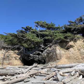 Olympic National Park - Parks Near Me - Port Angeles, Washington