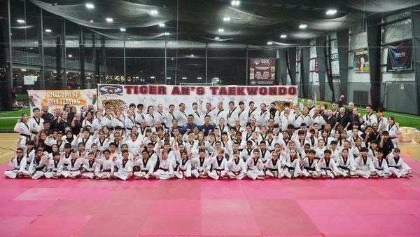 Tiger An's Tae Kwon Do