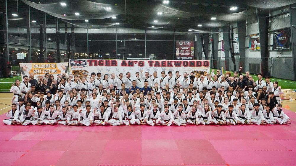 Tiger An's Tae Kwon Do