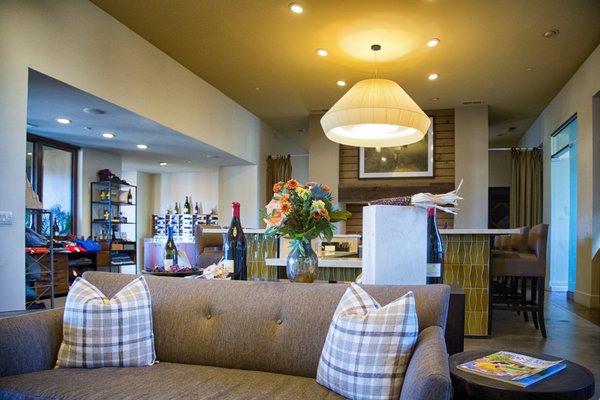 Patz & Hall Winery by null