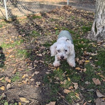 Larry J Marsalli - Dog Parks Near Me - Santa Clara, California
