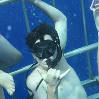 North Shore Shark Adventures - 17 year old in his glory - he LOVED IT! - Snorkeling Near Me - Haleiwa, Hawaii North Shore Shark Adventures - 17 year old in his glory - he LOVED IT! - Snorkeling Near Me - Haleiwa, Hawaii