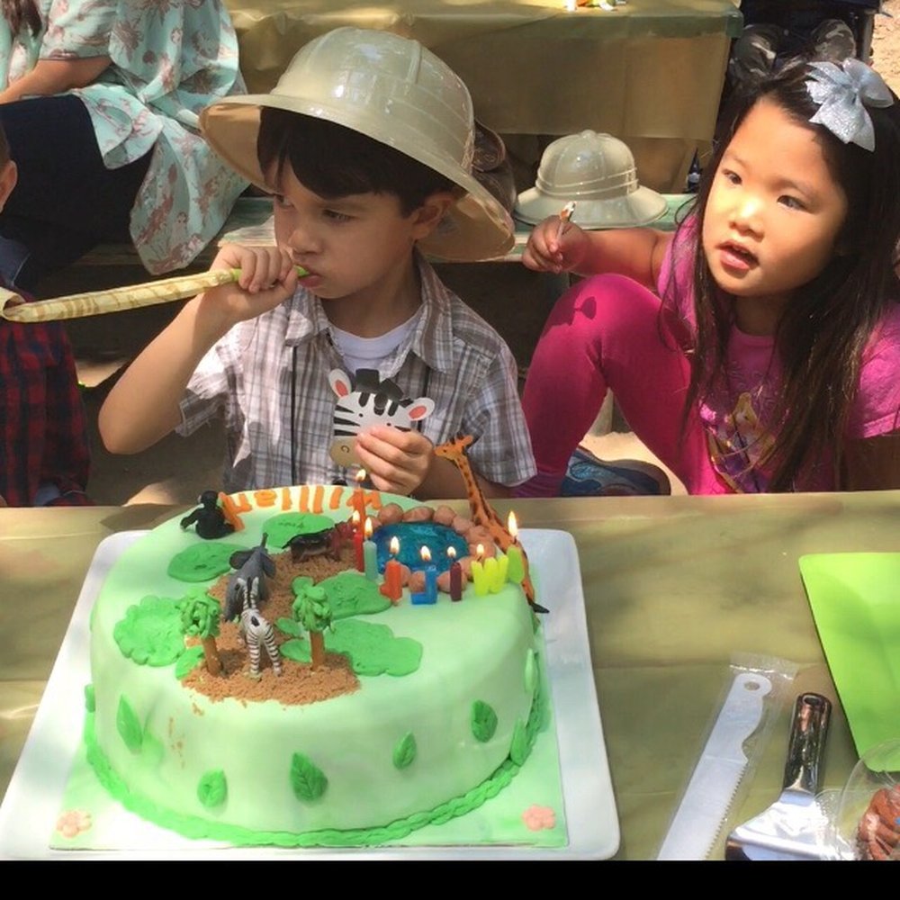 Little Bakery OC - Safari cake - Desserts Near Me - Euless, Texas Little Bakery OC - Safari cake - Desserts Near Me - Euless, Texas