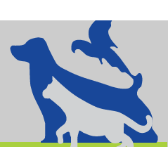 vca animal hospital sheridan