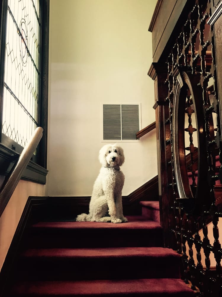 RecoverMD - grief counselor in Morristown, NJ