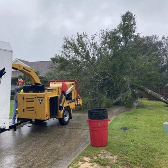 Laird Tree Service - Tree Services Near Me - Pace, Florida