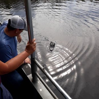 Ultimate Swamp Adventures - Captain Dillon coaxes an alligator to come closer!! - Tours Near Me - Westwego, Louisiana Ultimate Swamp Adventures - Captain Dillon coaxes an alligator to come closer!! - Tours Near Me - Westwego, Louisiana