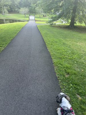 Larz Anderson Park by null