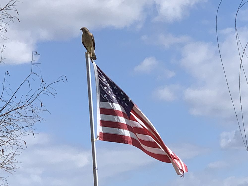 Slide of AMC Roofing
