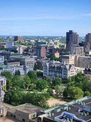 Hotel Omni Mont-Royal by null