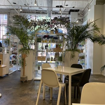 FRIEDA - Indoor dining. - Cafes Near Me - Philadelphia, Pennsylvania FRIEDA - Indoor dining. - Cafes Near Me - Philadelphia, Pennsylvania