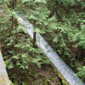 Whatcom Falls Park - Run off just before bridge area. - Dog Parks Near Me - Bellingham, Washington
