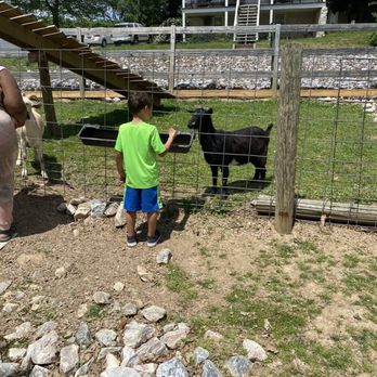 Baugher's Orchard & Farm - Petting zoo - Petting Zoos Near Me - Westminster, Maryland Baugher's Orchard & Farm - Petting zoo - Petting Zoos Near Me - Westminster, Maryland