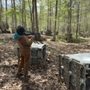 Photo of Robinhood Adventure Park