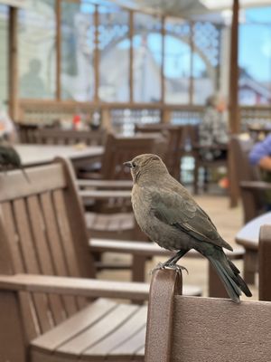 GoodLife Cafe & Bakery by null