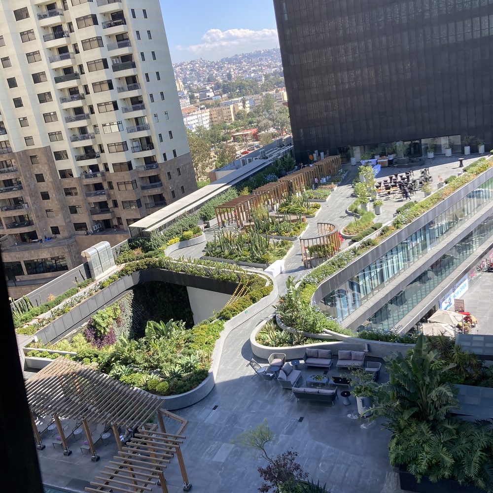 Quartz - Pool and living plants walkway. Beautiful - Hotels Near Me - Tijuana, BCN Quartz - Pool and living plants walkway. Beautiful - Hotels Near Me - Tijuana, BCN