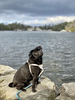 Minnewaska State Park Preserve by null