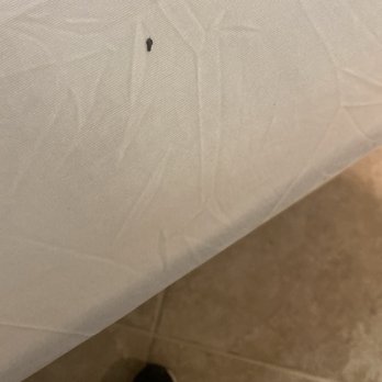 Ashley Store - BED BUGS!!! - Furniture Stores Near Me - Sunrise, Florida