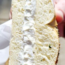 The Daily Bagel