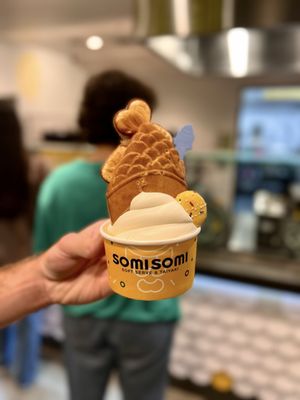 Somisomi by null