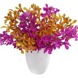 Bunches Florapost