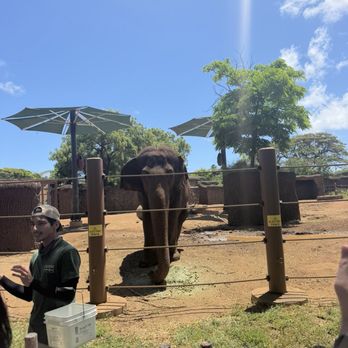 Honolulu Zoo - Zoos Near Me - Honolulu, Hawaii