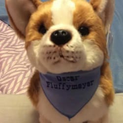 Nat & Jules - Stuffed corgi
