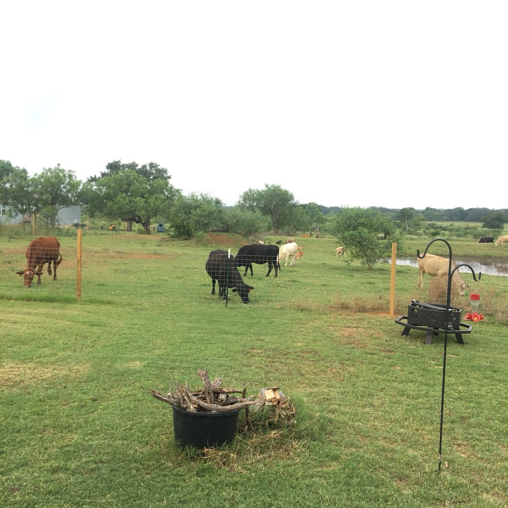 Windmill Crossing RV Park - Lots of cows fenced off but close! - RV Parks Near Me - La Vernia, Texas Windmill Crossing RV Park - Lots of cows fenced off but close! - RV Parks Near Me - La Vernia, Texas