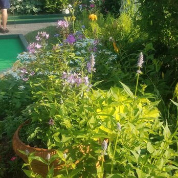 Susan's Garden Miniature Golf - Mini Golf Near Me - Dennis, Massachusetts