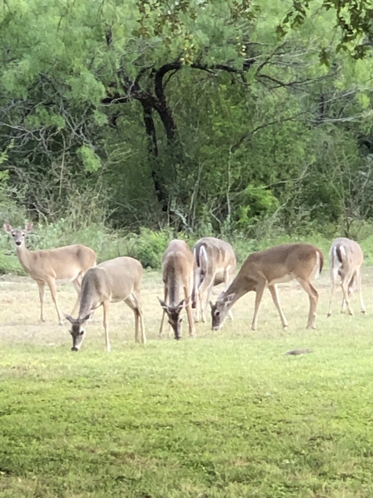 Fort Clark Springs Assn Logo