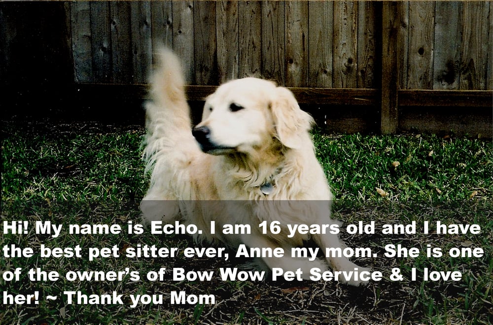 BOW WOW PET SERVICE Updated October 2024 10 Photos 12214 Waldemar