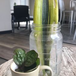 Harbor Coffeehouse - Table decor