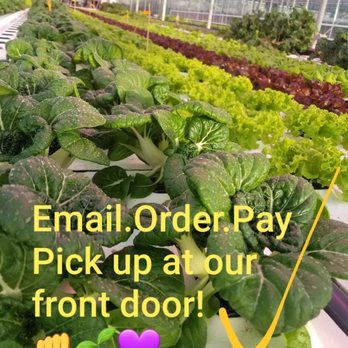 Thiel's Greenhouses - Thiel's Greenhouses - Farmers Market Near Me - Bruderheim, Alberta Thiel's Greenhouses - Thiel's Greenhouses - Farmers Market Near Me - Bruderheim, Alberta