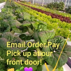 Thiel's Greenhouses - Thiel's Greenhouses