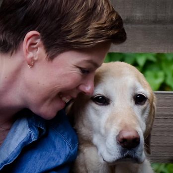Sensitive Dog - Pet Training Near Me - Seattle, Washington Sensitive Dog - Pet Training Near Me - Seattle, Washington