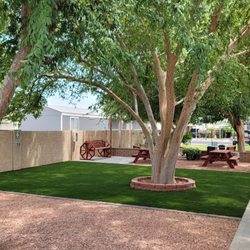 Rosewood Estates - Common area near pool and skate track