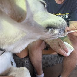 Doc having a sweet treat!! Doc having a sweet treat!!