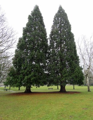 Glenwood Park by null